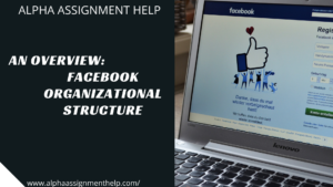 An Overview_ Facebook Organizational Structure